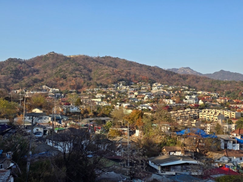 사진 4