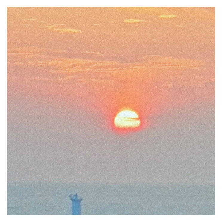  아이 반찬 고민 해결법과 영양 균형 맛있는 조리법