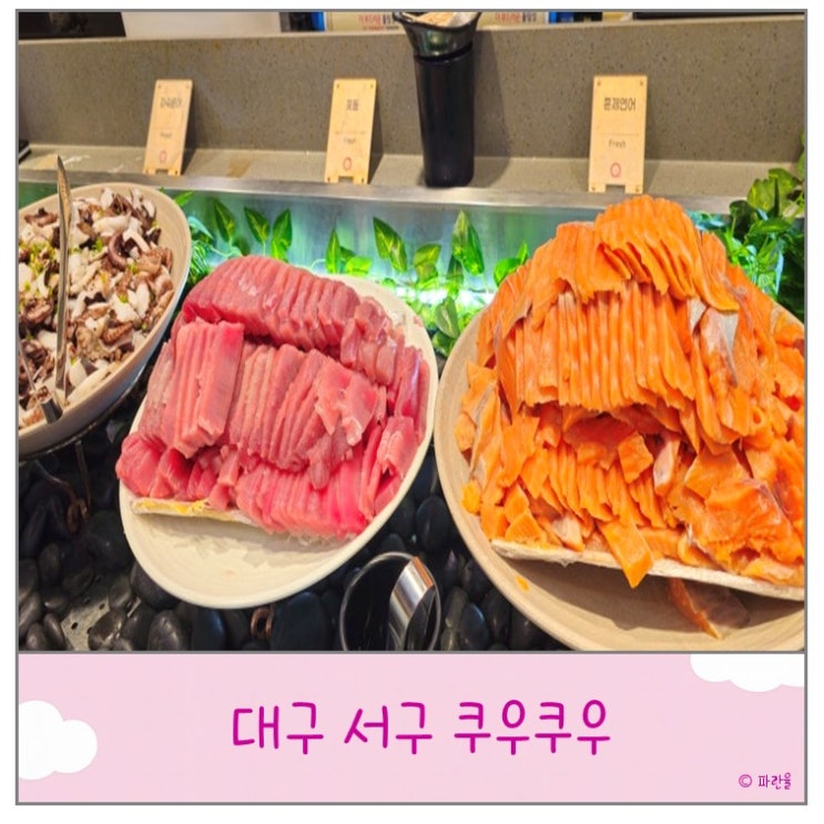  대구 쿠우쿠우 서구점 무한리필 초밥 맛집 추천