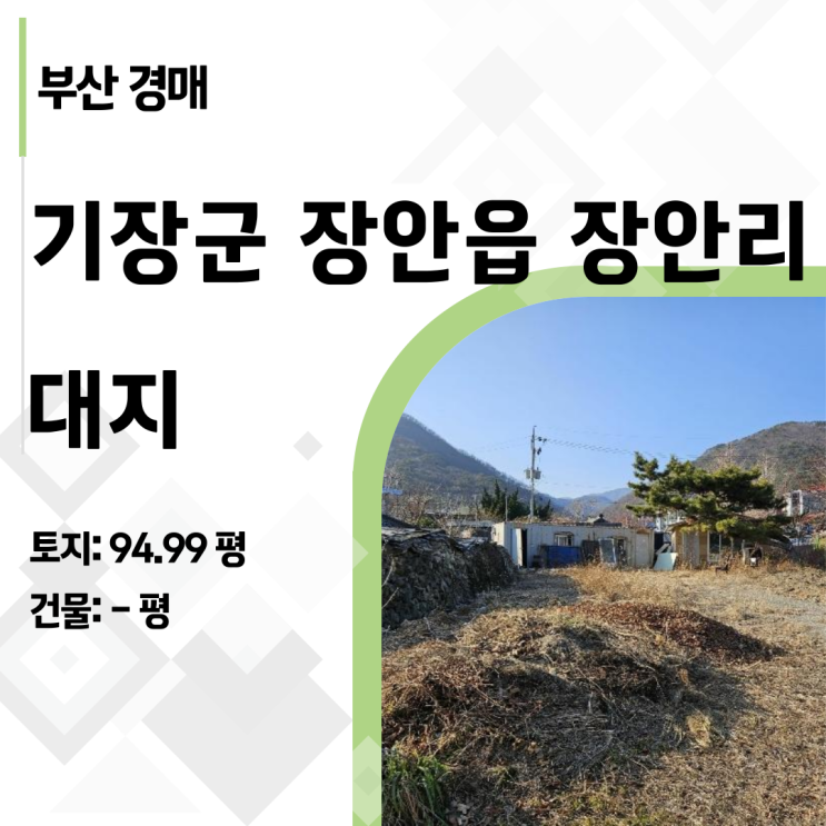  부산 기장군 장안읍 토지 경매: 39% 폭락! 건물 제외 물건의 해법 (2023타경5941)
