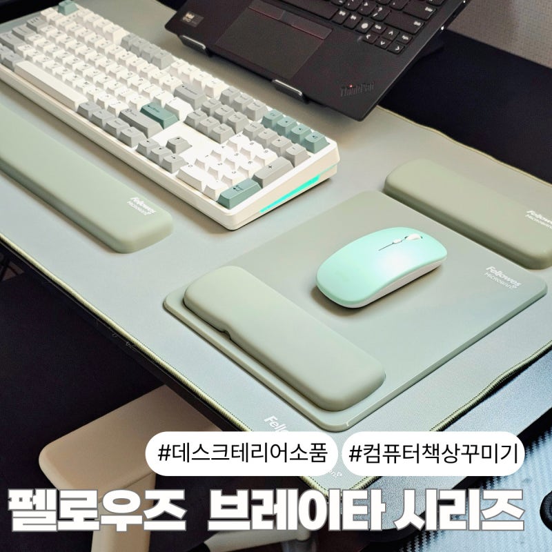 데스크테리어 책상 소품 펠로우즈 브레이타 마우스패드 시리즈 4종 후기