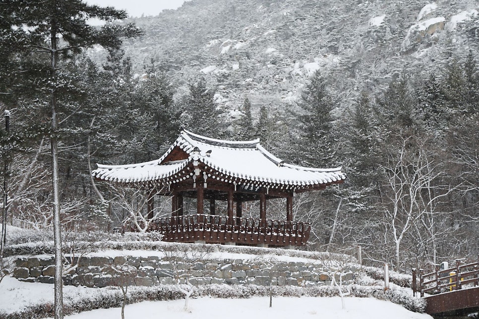 샘골 사진 6