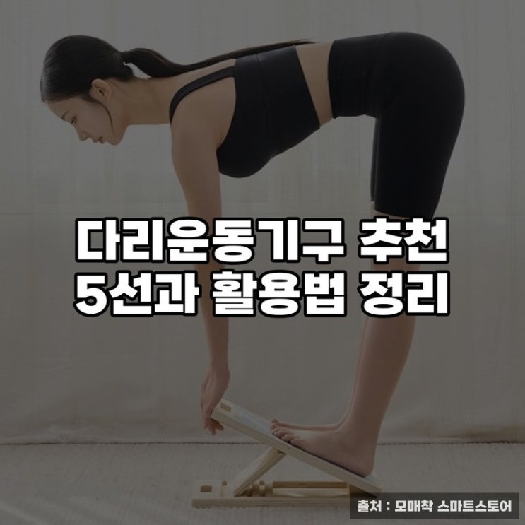  다리운동기구 추천 5선과 활용법 정리