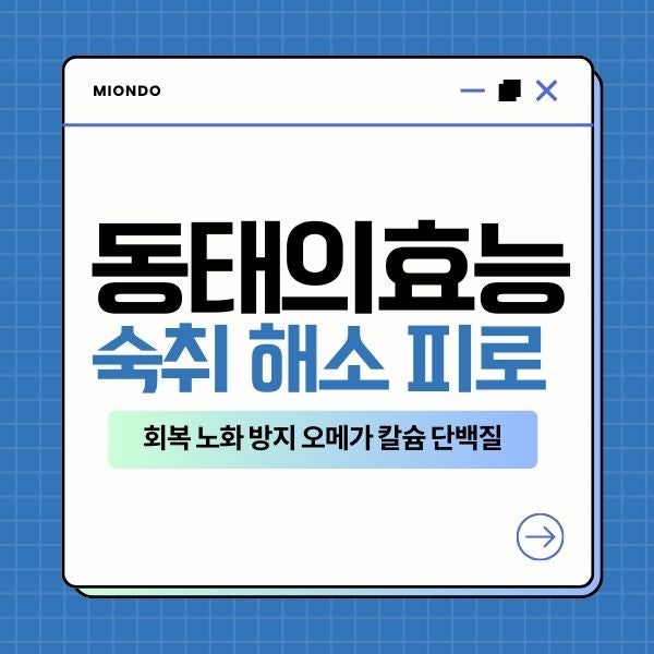 동태 효능 영양성분 숙취 해소 피로 회복 노화 방지 오메가 칼슘 단백질