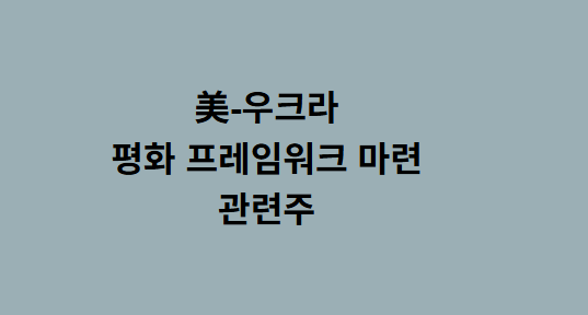 [11/24] 오늘은 _ <b>미국</b> 우크라 _ <b>평화 프레임워크</b> _관련주... 