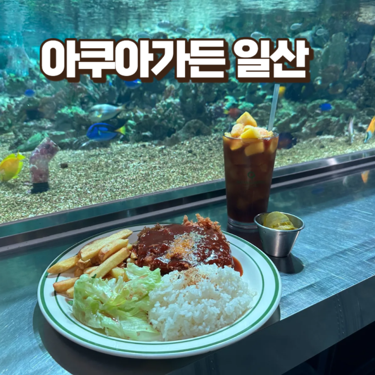  아쿠아가든 일산 브런치 대형카페 크리스마스 아이와 가볼만한곳 추천
