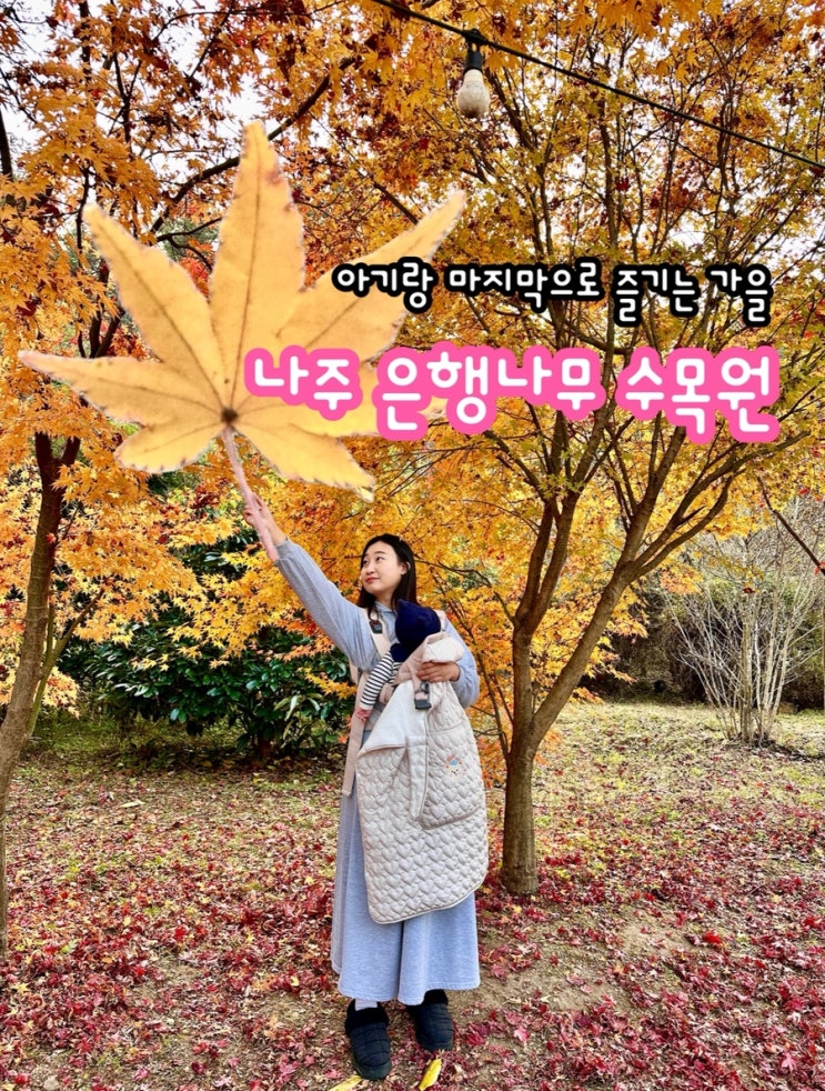  11월 나주 은행나무 수목원 풍경, 아기랑 산책 후기