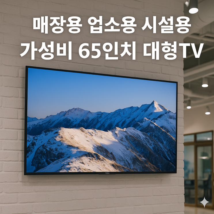  매장용 업소용 시설용 가성비 삼성 65인치 대형티비 추천