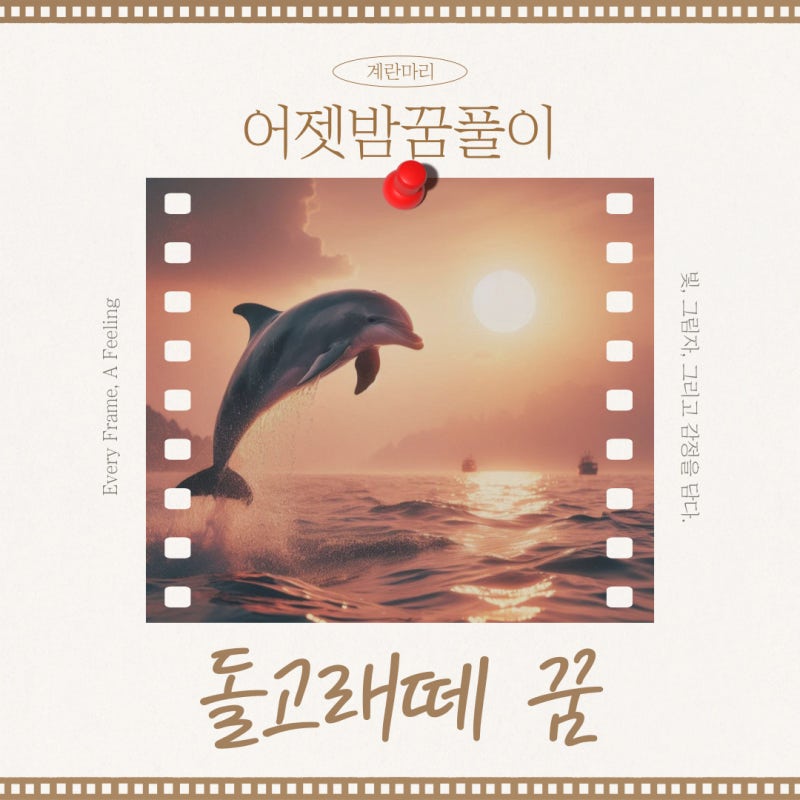 돌고래 떼 해몽, 행운과 귀인이 다가온다!