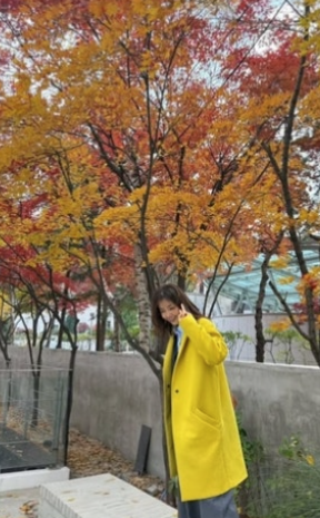   ‘차인표신애라’ 아들 결혼 앞두고 남긴 말… 57년 만에 다시 본 가을의 아름다움