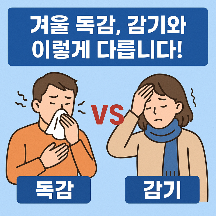  ️겨울철 독감, 헷갈리는 증상 구분과 확실한 예방법