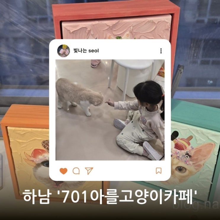  하남 701아를고양이카페 방문 후기