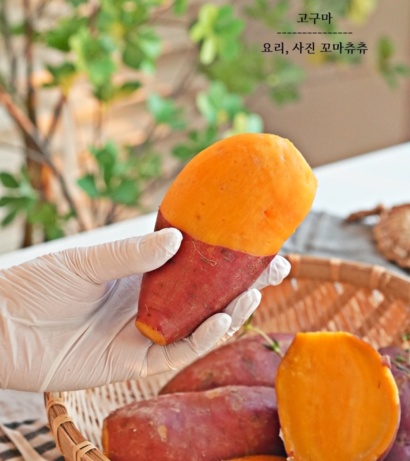 고구마 찌는법 시간 찜기없이 고구마 찌기 삶는방법 삶는법