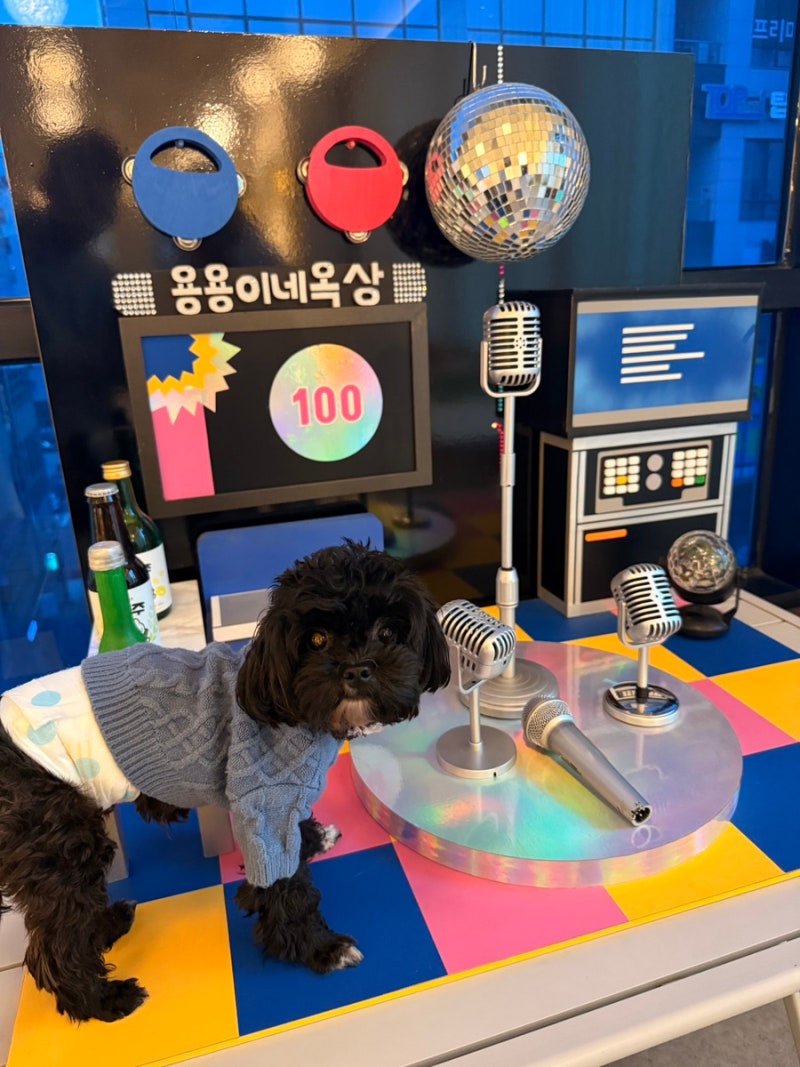 사진 3