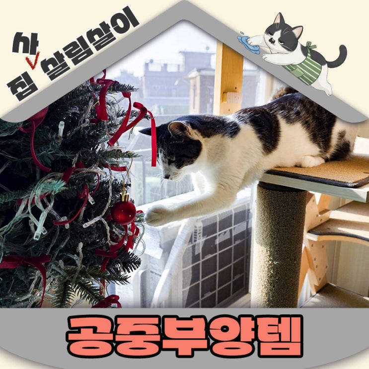  고양이가 자꾸 물건을 떨어트려요 공중부양템 추천