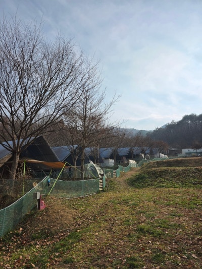 사진 6