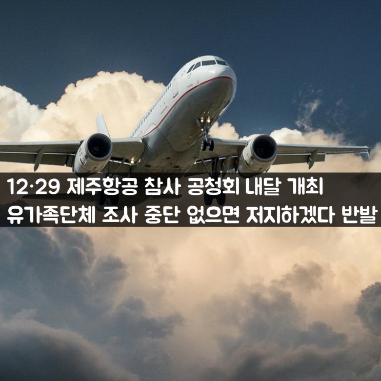 12·29 <b>제주항공 참사 공청회</b> 내달 개최 유가족단체 조사 <b>중단</b>... 