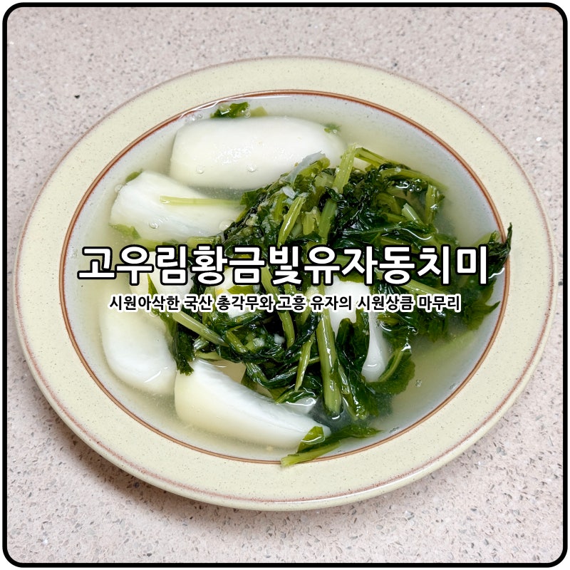 아워홈 편스토랑 황금빛 유자동치미 고우림동치미 우승
