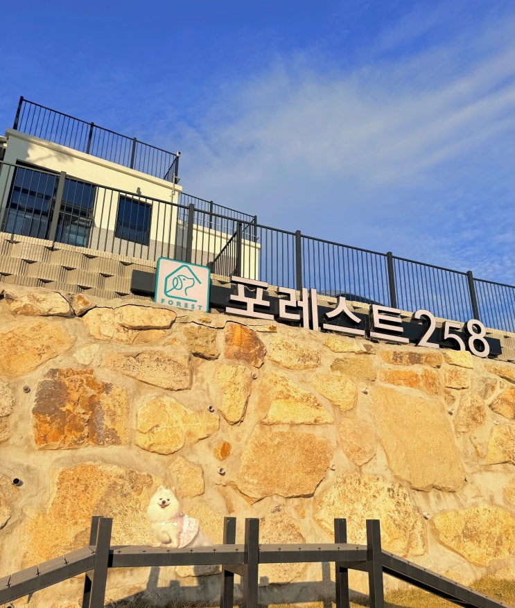  경주애견동반펜션 풀빌라 포레스트258, 불국사 근처 독채 애견펜션