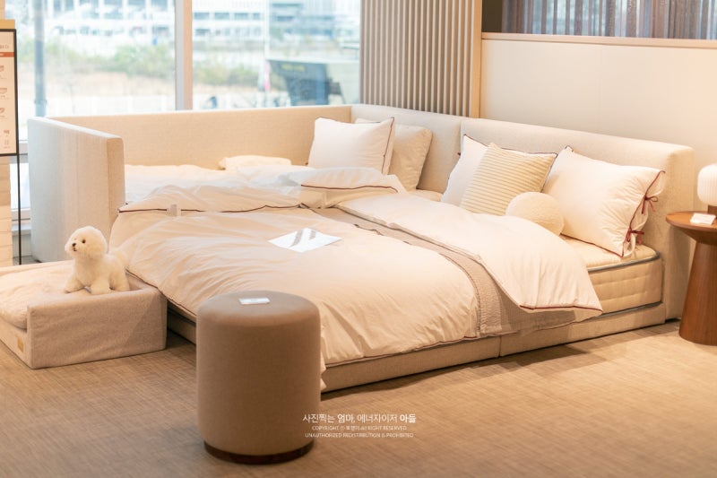 저상형패밀리침대 캄포 패밀리 베드 까사미아 세종새롬점