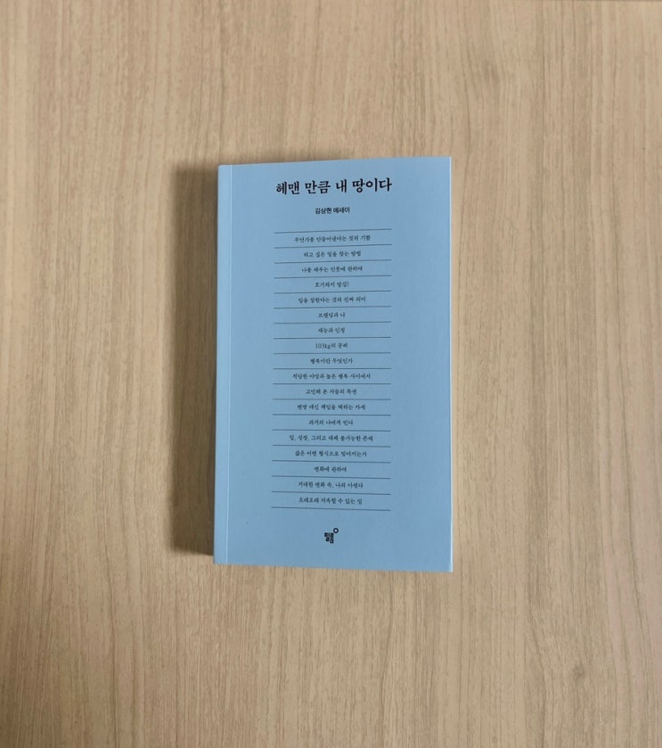  김상현 에세이 헤맨 만큼 내 땅이다 서평 — 흔들렸던 발걸음이 나를 단단하게 만든다