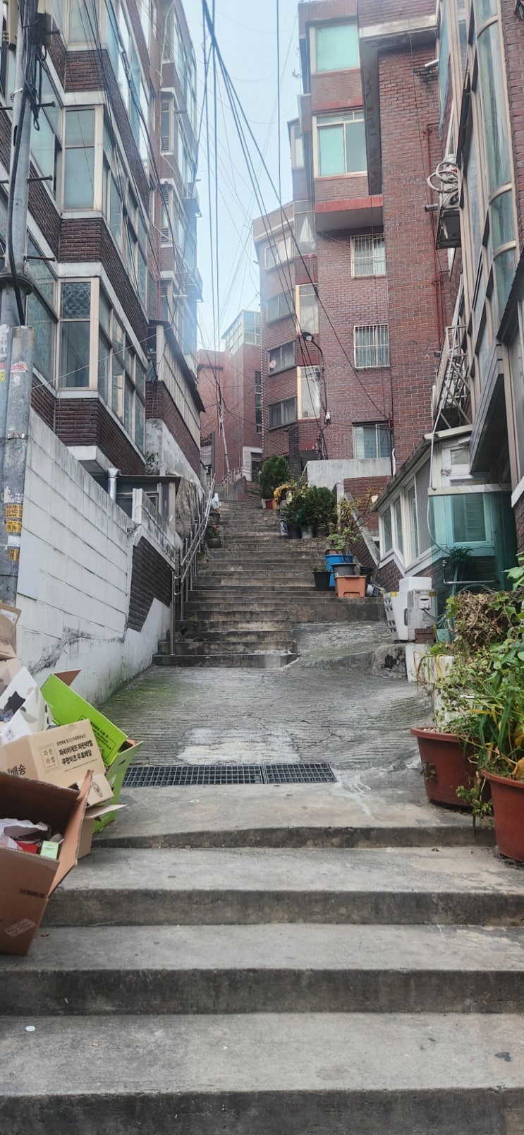  창신10구역 재개발 조합설립 일정 사업성 비례율 조합원 분양가 매물분석까지