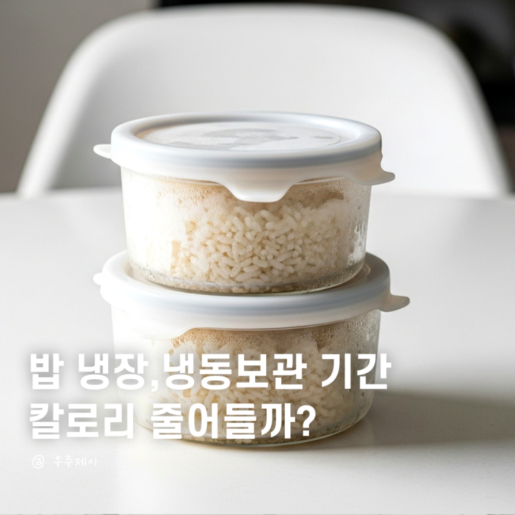  밥 냉장보관 기간 및 칼로리, 냉동이 좋을까?