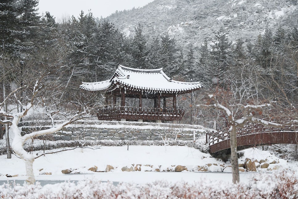 샘골 사진 5