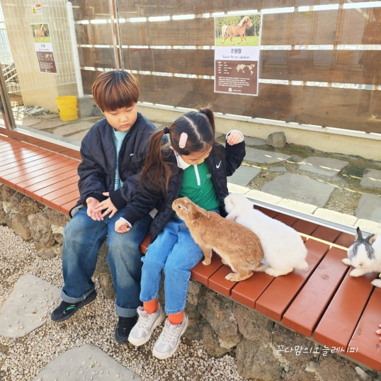  울산 실내동물원 아이랑 가기좋고 데이트코스로  좋은 헬로우쥬