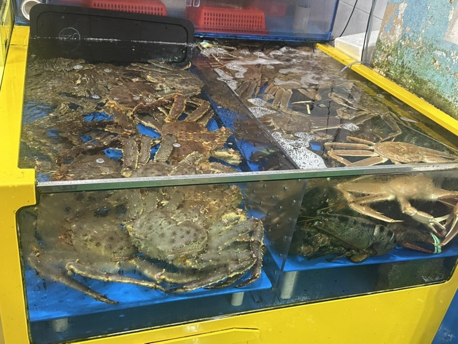평택또와수산 사진 4