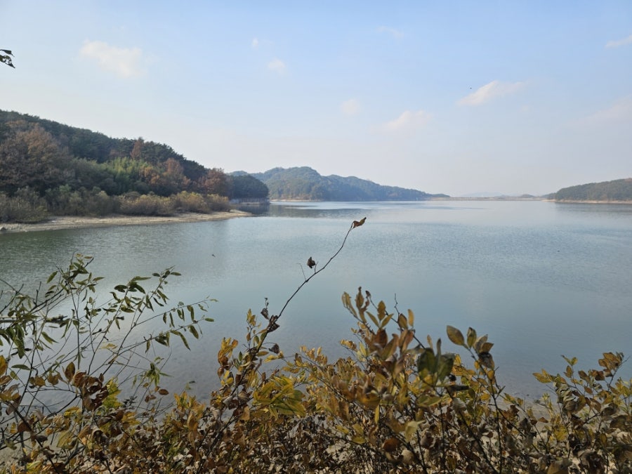 돌담게장백반 사진 4