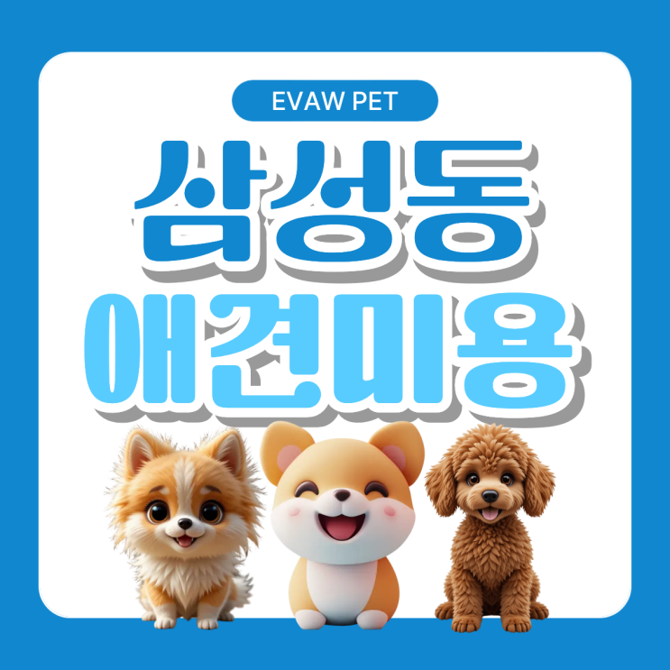  삼성동애견미용학원 – 주부도 도전 가능한 반려견미용 자격증 취득 & 창업 가이드
