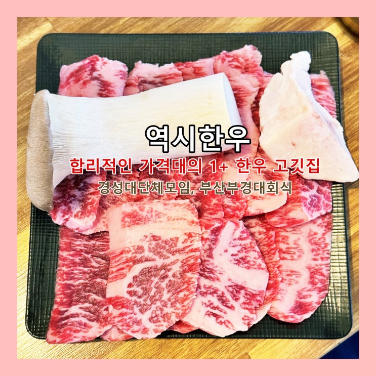  [부산] 경성대단체모임, 부산부경대회식, 합리적인 가격대의 1+ 한우 고깃집 '역시한우'