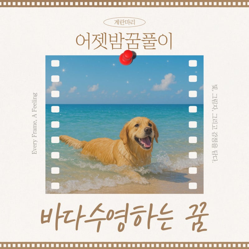 바다에서 수영하는 꿈, 인생의 목표는?
