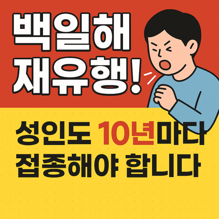  백일해 재유행, 왜 성인도 추가 접종이 필요한가? 필수 핵심 정리