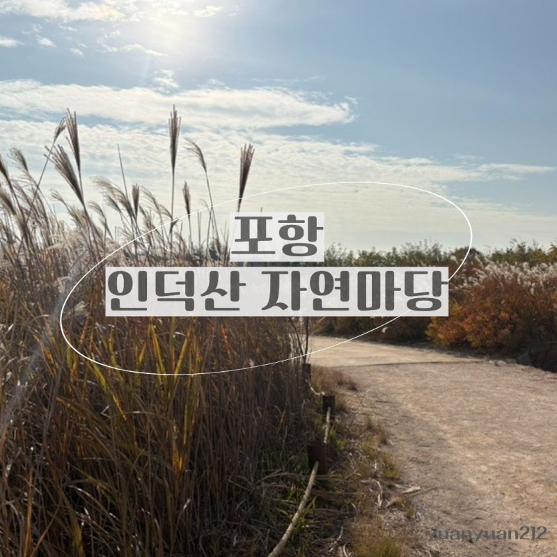 포항 인덕산자연마당 산책코스｜바람에 흔들리는 억새길 산책기