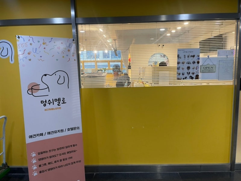 멍쉬멜로 애견카페