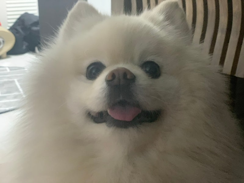 사진 8