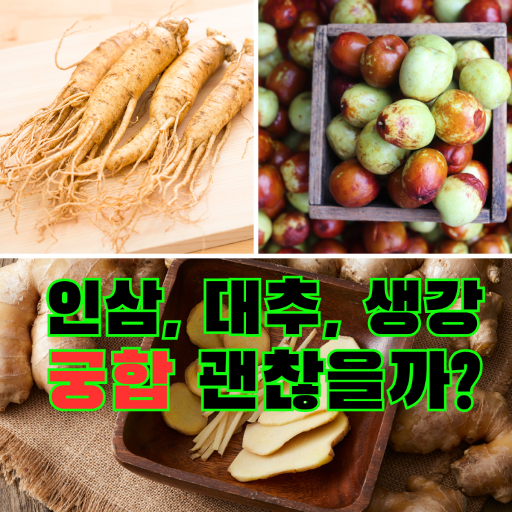  인삼대추생강청 궁합, 꿀까지 좋을까? 제대로 마시는 방법(효능과 부작용)