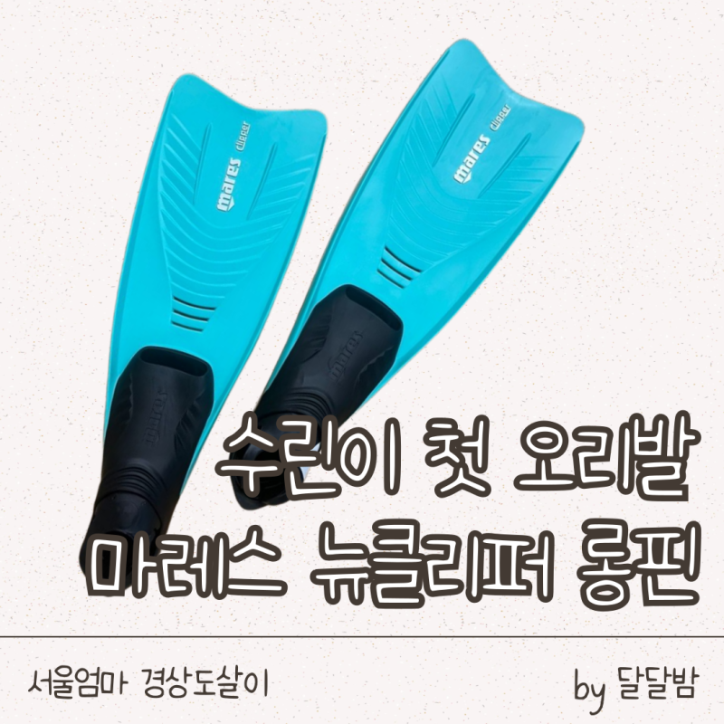 수린이 실내수영강습 오리발 마레스 뉴클리퍼 롱핀, 사이즈팁 착용 후기