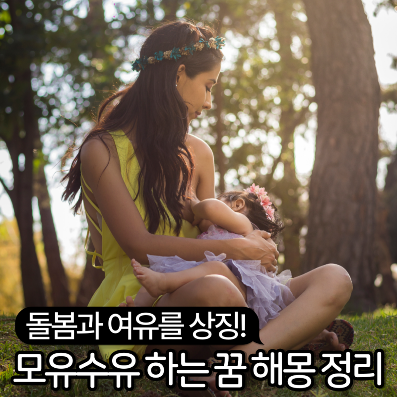 모유수유 하는 꿈 꾸셨나요? 해몽 15가지 이상 소개해요
