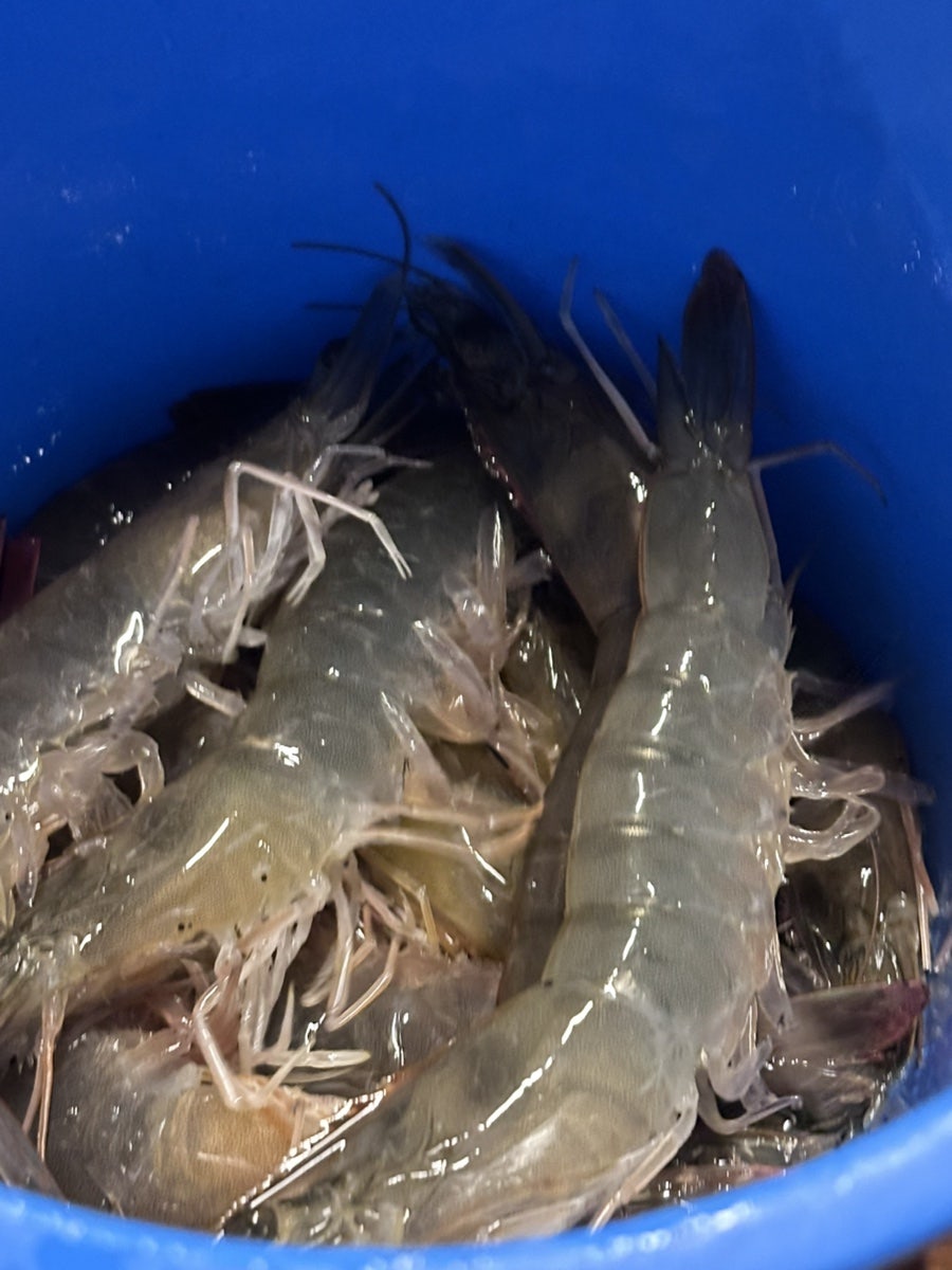 준우식당 사진 4
