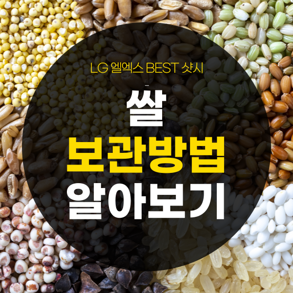 쌀보관방법, 김치냉장고에 보관하는 방법은?