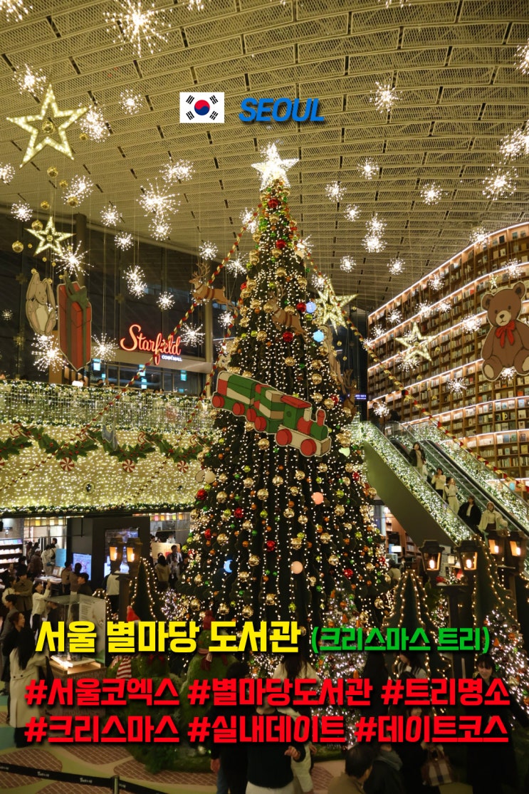  '서울 별마당 도서관' 벌써 크리스마스 트리로 변했다고??
