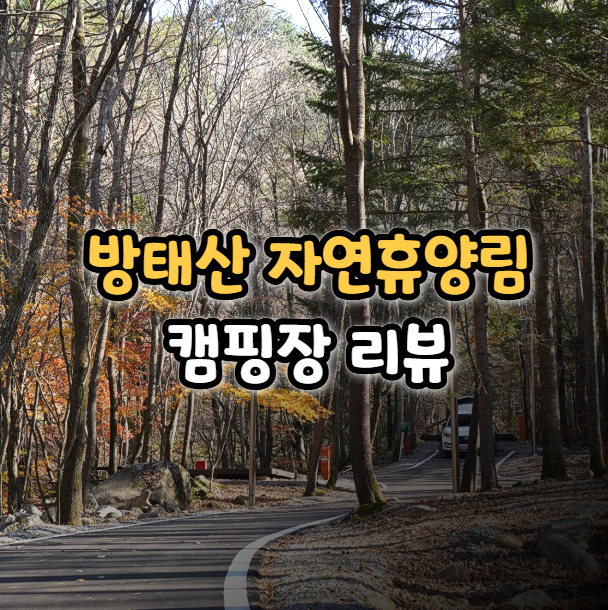  인제 방태산 자연휴양림 캠핑장 데크 리뷰 이용 및 예약 방법