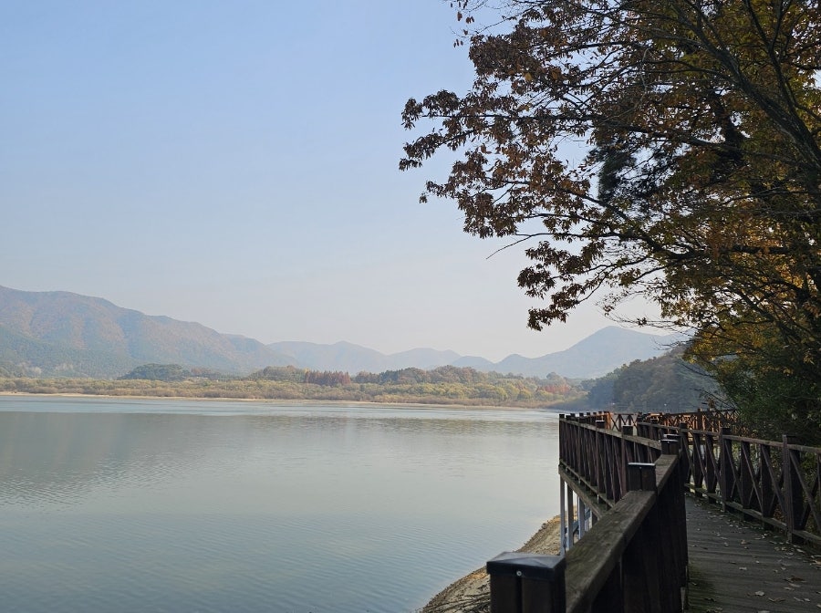 돌담게장백반 사진 5