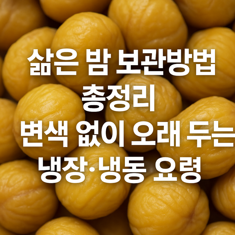 삶은 밤 보관방법 총정리 : 변색 없이 오래 두는 냉장·냉동 요령