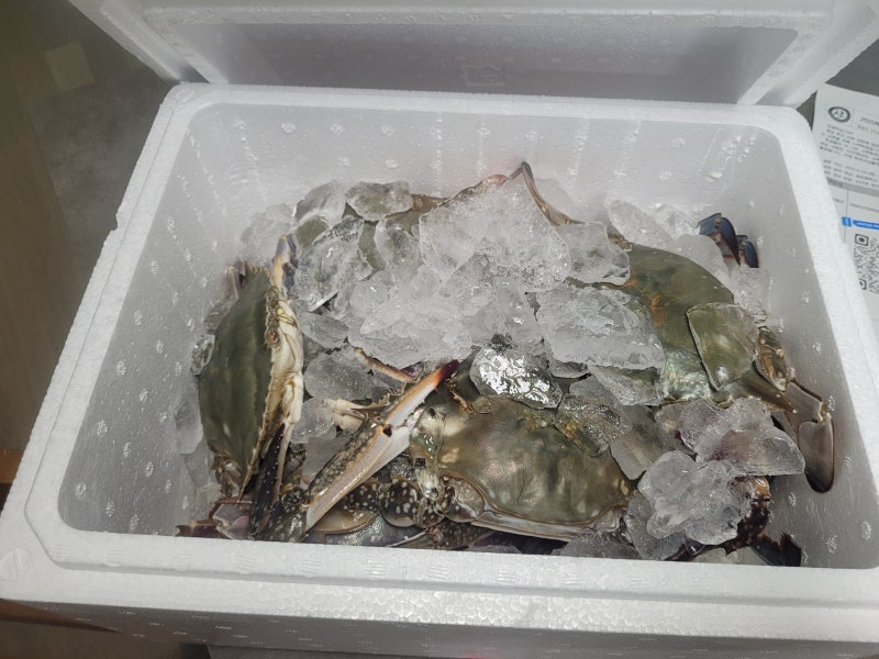 편스토랑 어남선생 양념게장 꽃게손질부터 따라하기!