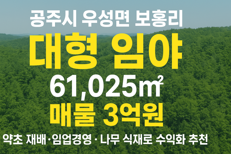  공주시 우성면 보흥리 대형 임야 61,025 매물3억원 ! 약초 재배·임업경영·나무 식재로 수익화 추천