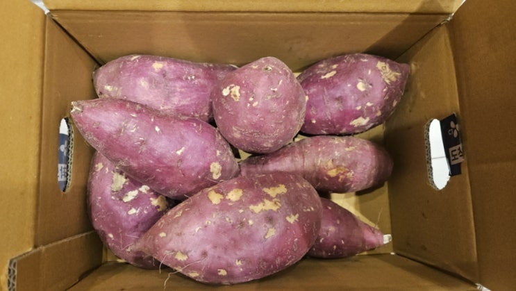  해남 꿀 고구마 3kg·5kg, 베니하루카·황금호박고구마 세척 후기